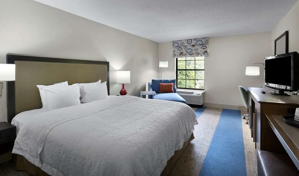 Hampton Inn Helen Rum bild